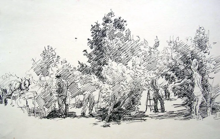 רישומים – יצירה 25