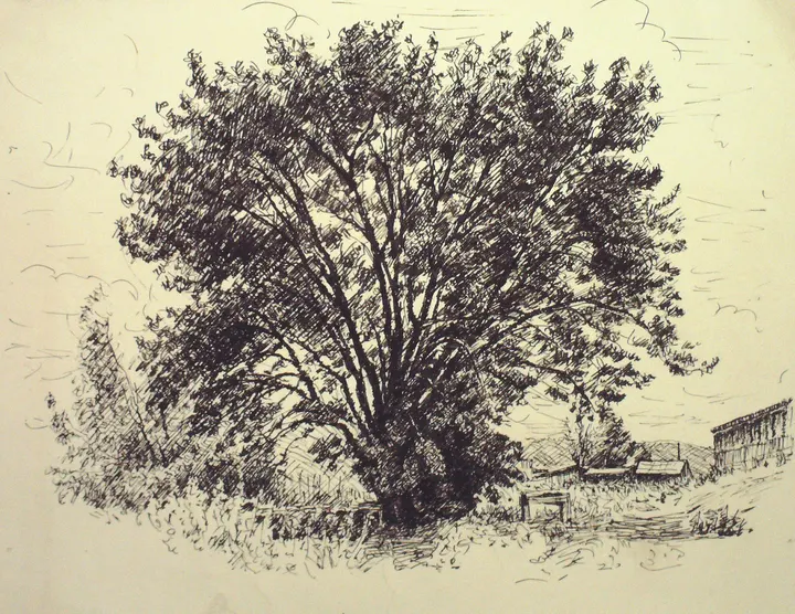 רישומים – יצירה 59